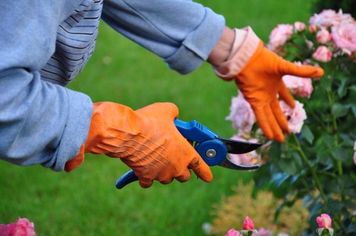 Company van and gardener arriving at a Harrow garden