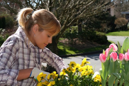 A woman in a plaid shirt and gardening gloves is tending to a flower bed in a suburban garden, with a variety of blooming flowers including yellow pansies and pink tulips in the foreground. The garden features a well-maintained lawn and a background with mature trees and bushes, illuminated by natural sunlight on a clear day. The scene is set in a typical outdoor garden space near Harrow, with neatly planted flower borders and lush green grass, reflecting regular outdoor maintenance and gardening activities carried out by professionals such as Garden Maintenance Harrow. The environment is peaceful, showcasing a tidy and inviting landscaped yard with a mix of vibrant flowers and natural foliage, suitable for enhancing local outdoor gardening and landscaping services.